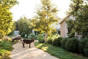 Fazenda bege (Texto alternativo)