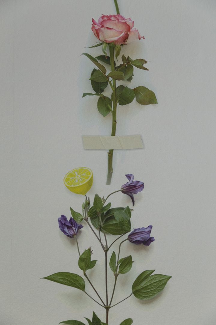 dormitorio jardim5429