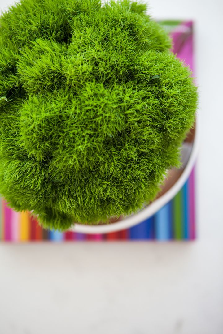 Apto-Sa-e-Cioni Higienopolis (32)